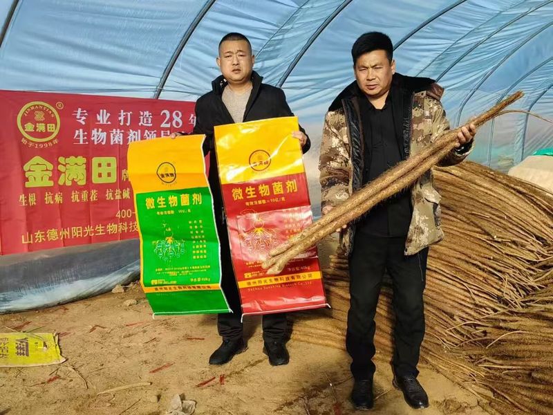 山药种植户展示收获的山药与金满田产品
